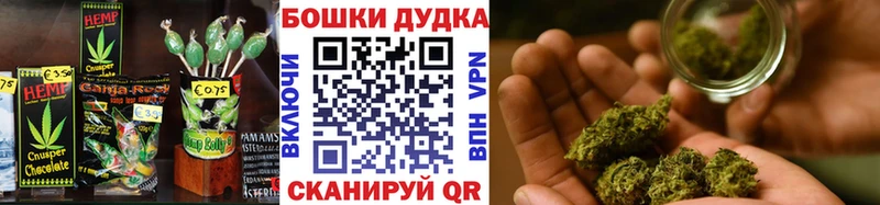 закладка  Хилок  Canna-Cookies конопля 