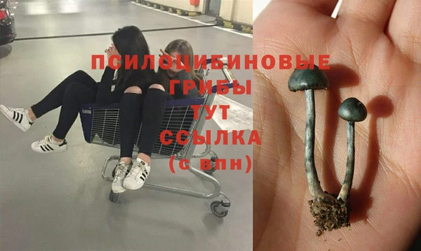 mix Абинск