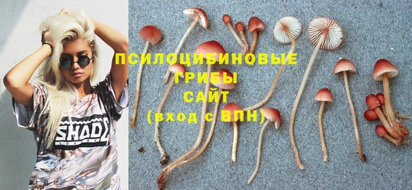mix Абинск