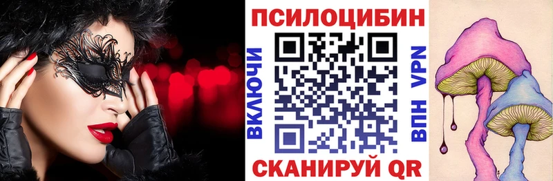 купить наркотики цена  Хилок  Псилоцибиновые грибы мухоморы 